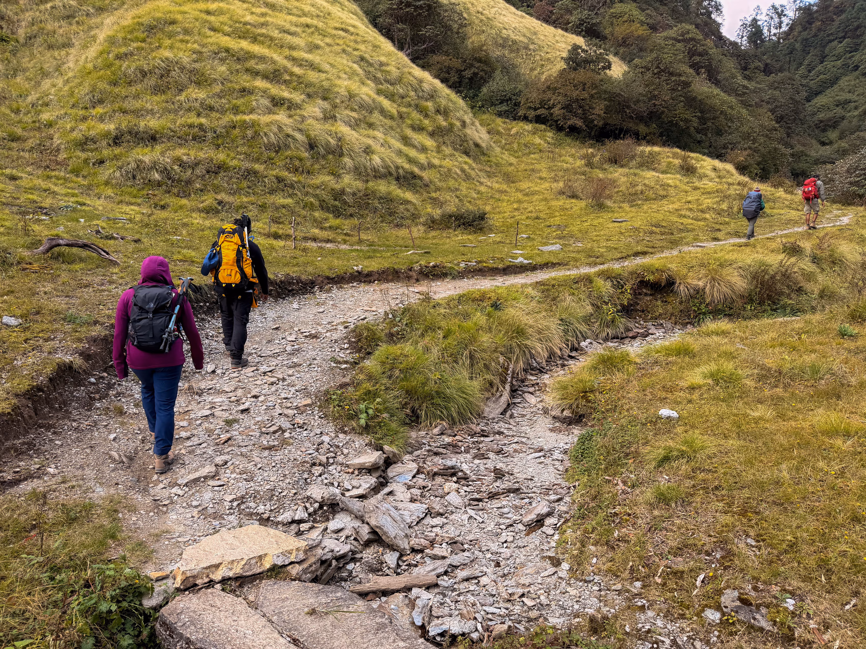 Changing vegetation and terraces