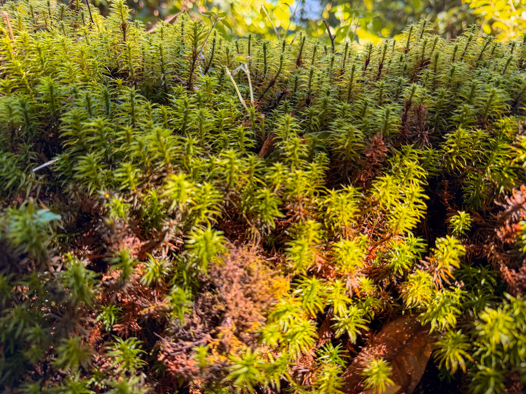 Farm encounters along the trail