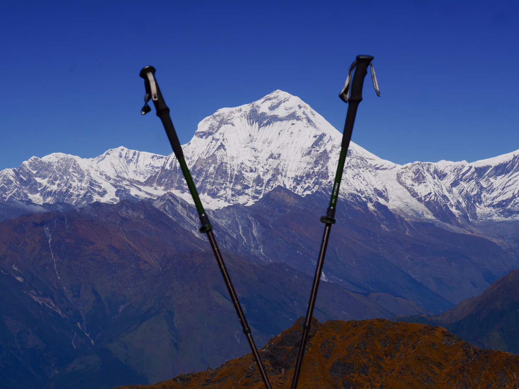 Trail leading to the ridge during golden hour
