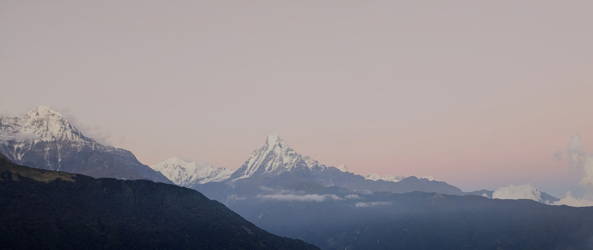 Trail through the forest to Tadapani
