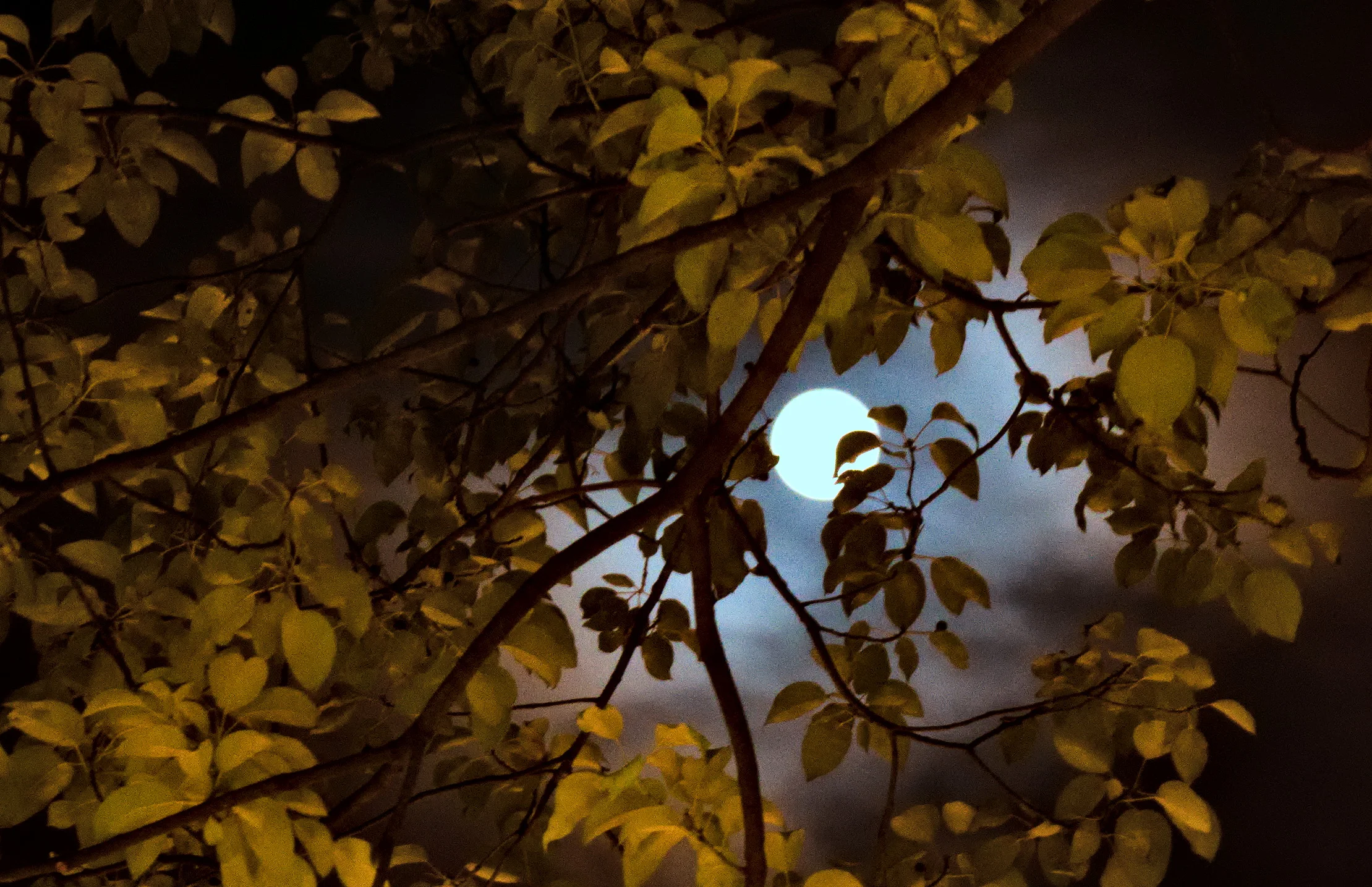 Full moon over Pokhara