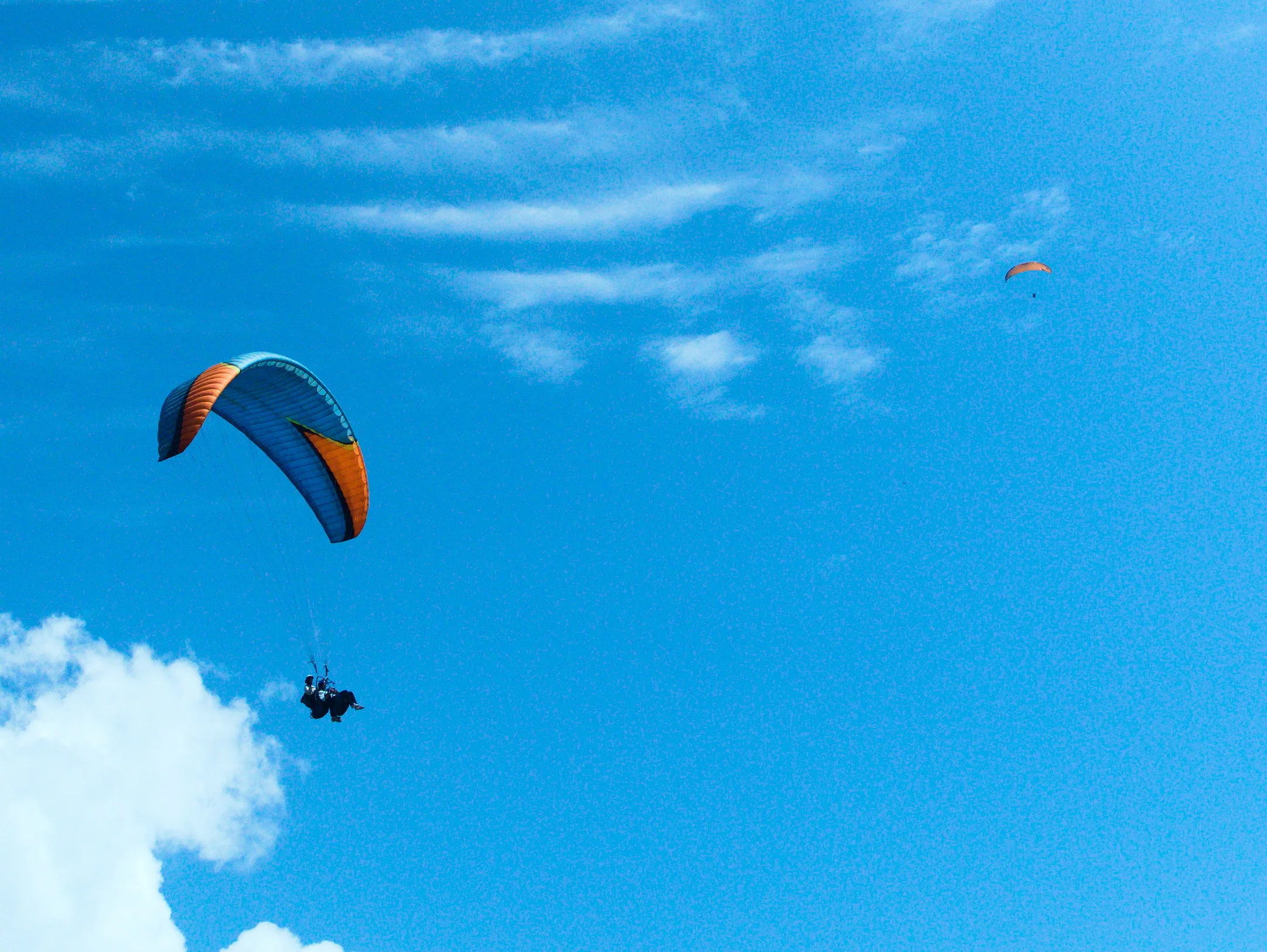 Paragliders descending from Sarangkot